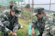 汇总｜衡水市阜城县问题青少年矫正学校
